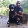 Labrador Radja eet achtergelaten cannabis tijdens wandeling in bos in Sint-Niklaas: “Toen ik thuiskwam, zag ik meteen dat iets niet klopte”