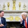Een bijrol voor Zelensky, een miljardentruc én een korte Navo-top: zo probeert Rutte Trump te paaien