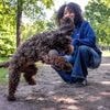 Maak kennis met modehondjes van nu: van teckel Camilla tot labradoedel Beau