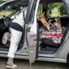 Elke nacht slapen op een autostoel, Nijmeegse Jacqueline woont in haar auto met twee hondjes: 'Weet niet hoe ik het volhou'