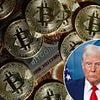 Why bitcoin has gained more than 70% since Trump was elected - and his 'genius' act could fuel it further