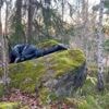 Manches muss kaputtgehen: Das Festival „Making Life in the Ruins“ in den Sophiensaelen