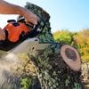 “Als het om waardevolle exemplaren gaat, kan de boete oplopen”: mag je zomaar (alle) bomen kappen in je tuin?