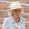 "Mit dem Absatz in die Eier": Königin Camilla soll als Teenagerin sexuell belästigt worden sein