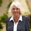 Recherche im Palast: Königin Camilla ist Hauptfigur in ihrem Lieblingskrimi