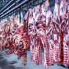 Marktkonzentration nimmt zu: Zahl der Schweineschlachtungen wieder leicht gestiegen