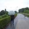 Na extreme droogte gaat het weer regenen: 'Heel erg welkom voor de natuur'