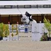 Équitation. Cédric Bellanger triomphal au Jump’Estival de Deauville