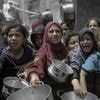 INFOGRAPHIES. Guerre à Gaza : ces quatre graphiques illustrent la catastrophe humanitaire en cours