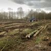 Vorig jaar bijna 300 voetbalvelden aan bos gekapt in Vlaanderen