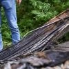 Weitere Brände angedroht: Reul: Linksextreme wohl für Bahn-Anschläge verantwortlich
