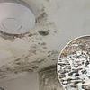 Newbuild snag expert reveals the VERY important test every owner should carry out when buying a home... FLUSH THE TOILET