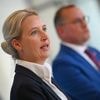 Was, wenn die AfD tatsächlich verboten wird?: „Dann ist Widerstand zu erwarten“