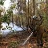 Auch Deutsche im Einsatz: Bereits vier Tote bei Waldbränden in Portugal