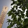 Vague de chaleur : voici nos conseils pour résister aux fortes températures du week-end