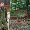Lammert redde hond van voorbijganger, dan richt de wolf zich op zijn honden