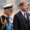 Anger grows at Prince Harry for saying 'I don't know how much longer' cancer-battling King Charles, 76, has left to live as royal 'blows his chance of reconciliation with his father'