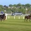 Redwood Queen chaos at Wexford only creates suspicion and distrust in the sport - regulators must provide answers quickly: RACING CONFIDENTIAL