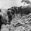 Bewunderung für Kreta-Eroberer: AfD-Politiker glorifiziert Hitlers Fallschirmjäger