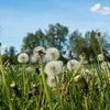 Steigende Temperaturen: Sonne für Berlin und Brandenburg