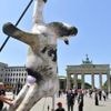 Berliner Aktivisten wollen auf Tierleid aufmerksam machen: Kuh-Attrappe am Brandenburger Tor