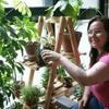 C’est quoi le plant-sitting, cette solution pour faire garder nos plantes lors des vacances ?