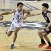 Basket. N1M : Fougères a rempli sa part du contrat à Berck