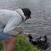 Duiker krijgt boete terwijl hij wielrenner helpt die spullen in water is verloren