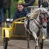 Travellers charge down streets at death-defying speed on carriages at Appleby Horse Fair while police put on show of force as thousands gather at Europe's biggest Gypsy festival