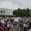 "Résistons à la tyrannie" : des milliers d'Américains ont de nouveau manifesté contre la politique de Donald Trump et Elon Musk