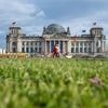 Verwahrlosung im Berliner Regierungsviertel: Woran die Pflege der Reichstagswiese scheitert