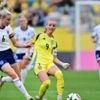 'Relentless' Sweden deserve more recognition - Williamson
