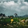 Die Wetterwoche im Schnellcheck: Sommer, Sonne, Sonnenschein? Ähmm ... leider nein