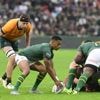 L’Afrique du Sud n’est plus en tête du classement World Rugby, les All Blacks nouveaux leaders