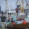 Un nouveau bateau pour Gaza quitte l’Italie chargé d’aide humanitaire