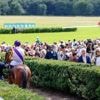 Pferderennen: Beste Steher bei wichtigem Langstreckenrennen in Hoppegarten