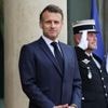 Loi Duplomb : Emmanuel Macron "promulguera" le texte "dans les meilleurs délais", sans la réintroduction de l'acétamipride