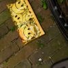 Waar word je gelukkig van? Een proef met verloren portemonnees leert daar een hoop over