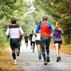 « Courir comme un dératé » : d’où vient cette expression ?