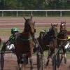 Courses hippiques : les passionnés de l'hippodrome