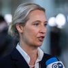 Le renseignement intérieur allemand suspend provisoirement le classement de l'AfD comme "extrémiste"