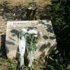 "Je suis musulmane et je ne cautionne pas les actes antisémites" : l'olivier en hommage à Ilan Halimi remplacé grâce à Farah, une amie de la famille
