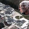 Secrets of Michael Jordan's $9.5M mansion... revealed for first time by man who bought it and couldn't believe what he discovered