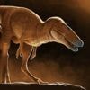 Nieuw ontdekte 'drakenprins' in Mongolië blijkt voorouder van Tyrannosaurs rex