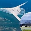 Major airline signs agreement to purchase futuristic jets which could replace Boeing fleet by 2030 and reduce emissions by 50%