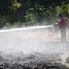 Urban wildfire risk rising due to hot dry summers, scientists warn