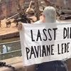 Affen sollen getötet werden: Tierschützer ketten sich an Zoogehege fest