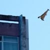 Russia and Ukraine trade more long-range drone attacks that are a hallmark of their war