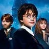 Original Harry Potter director has scathing reaction to controversial TV remake of hit franchise