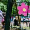 Brücke ins Leben: Wenn Mama inhaftiert ist - und das Kind dabei